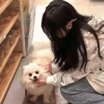 血月之息应用宝版本下载